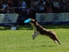 frisbee22