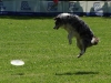 frisbee3