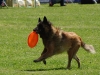 frisbee34